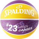 Spalding NBA Player Lebron James