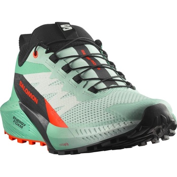 Salomon Sense Ride 5 Размер на обувките (ЕС): 39 (1/3) /