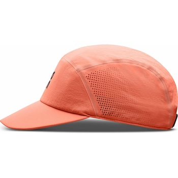 On Performance Cap