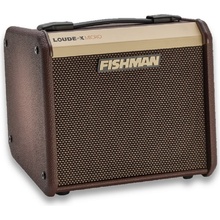 Fishman Loudbox Mini