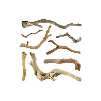 Abc-Zoo koreň Cuckoo Root Basic 15-30 cm