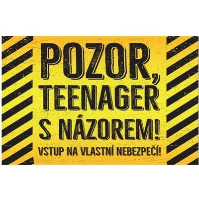 Pozor, teenager s názorem! - ceduľa 30cm x 20cm Plechová tabuľa
