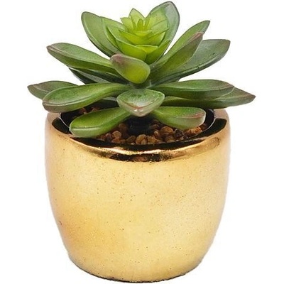 Sukulent MagicHome 12 cm črepník cement zlatý