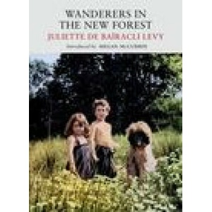 Wanderers in the New Forest (2023)
