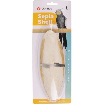 FLAMINGO Sepia shell - сепийна кост, размер L - 23 см, Белгия - 2010027