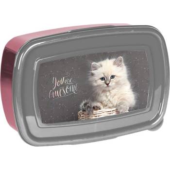 Image 1 of PASO - Кутия за храна CAT