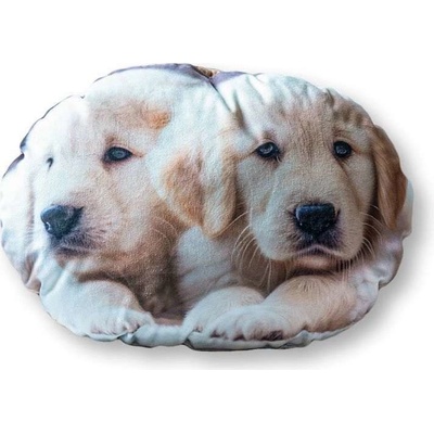 Detexpol Tvarovaný mikroplyšový vankúš Psíci Polyester 39x30