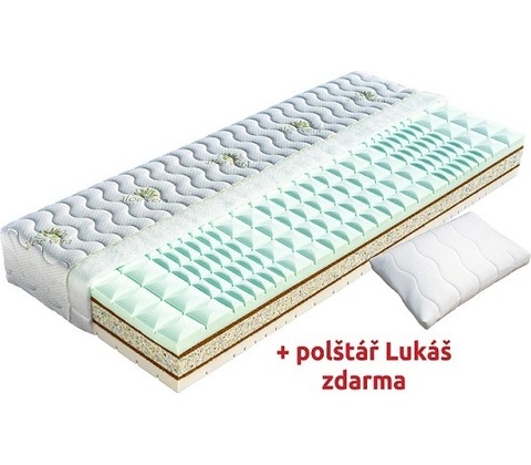 Dřevočal Radmila