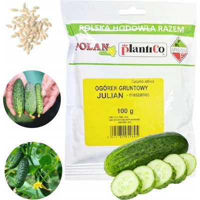 Semena salátové okurky pro konzervování Polan 100 g