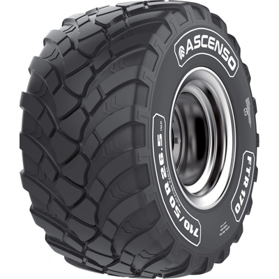 Ascenso I-3 560/60-22,5 164D TL