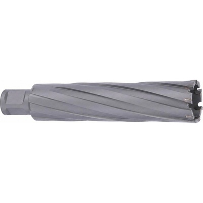Abse N-CA-W19-0350100