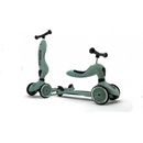 Image 1 of Scoot & Ride Highwaykick 1 (96268)