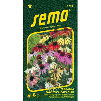 Semo Echinacea purpurová - Paradiso 12s