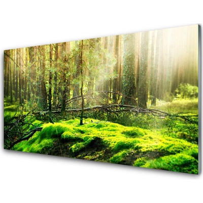 Obraz na skle Mech Les Příroda 100x50 cm