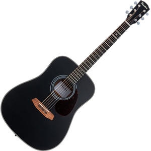 Pasadena PD-200 Black Акустична китара