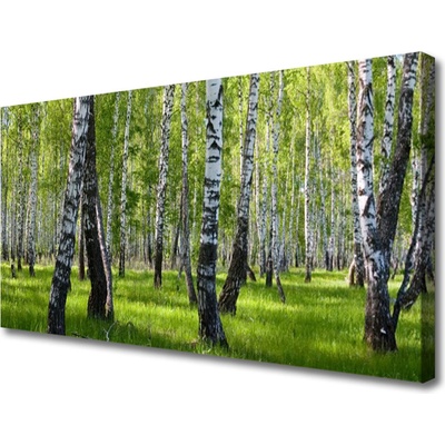 Obraz na plátně Les Příroda 100x50 cm