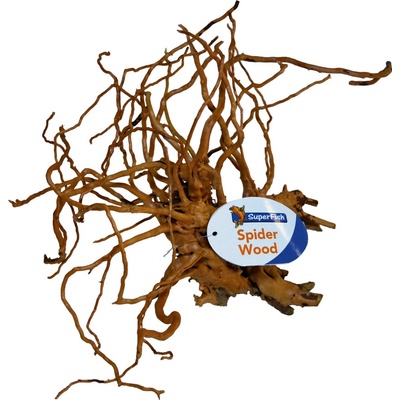 BioArt Spider Wood M 30-40 cm