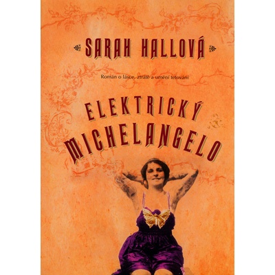 Elektrický Michelangelo - Sarah Hallová