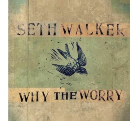 Seth Walker - WHY THE WORRY CD