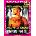 Intersonic Alpha Dog - DVD (000127)