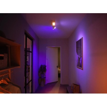 Philips Hue Centris 929003808501