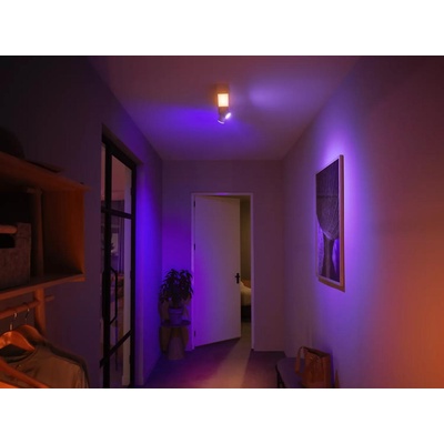 Philips Hue Centris 929003808501