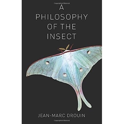 A Philosophy of the Insect