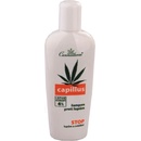 Šampóny Cannaderm Capillus šampón s kofeínom proti vypadávaniu vlasov 150 ml
