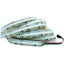 MComp MCCOB0009
