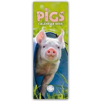 Pigs Ferkel Schweinchen Slimline 2024