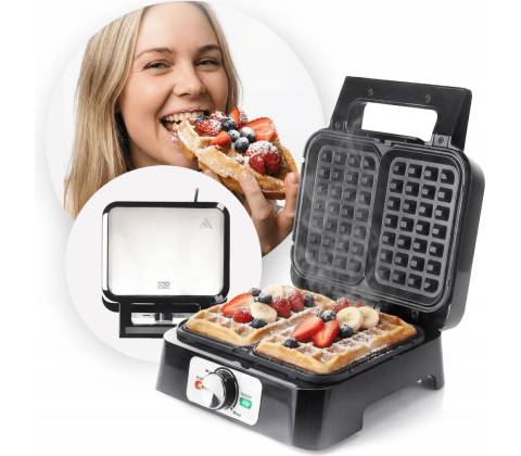 Promis WAP1600