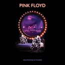 Filmy Pink Floyd : Delicate Sound Of Thunder BRD