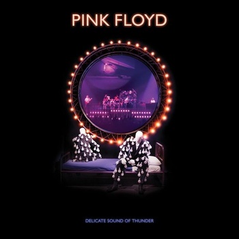 Pink Floyd : Delicate Sound Of Thunder BRD