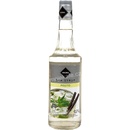 Rioba sirup Mojito 0,7 l