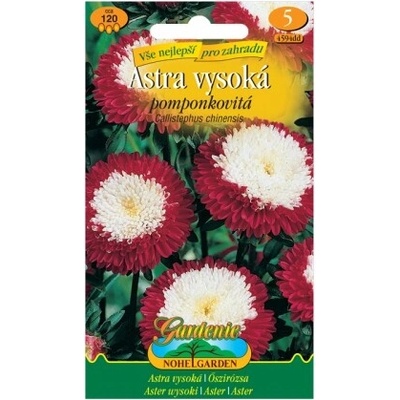 Nohel Garden Astra vysoká pomponkovitá, červeno-biela