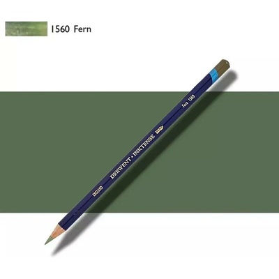 Derwent 1560 FERN