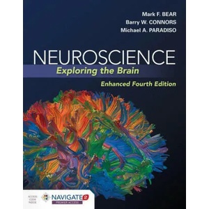 Neuroscience: Exploring The Brain, Enhanced Edition | Barry Connors, Michael A. Paradiso (ISBN: 9781284211283)