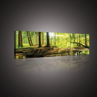 Postershop Obraz na plátně: Lužní les - 145x45 cm