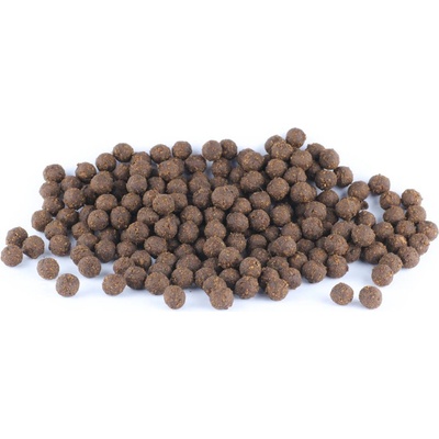 Hulín Pamlsek MINI kuličky Hmyzí protein s řasami 12 mm 10000 g