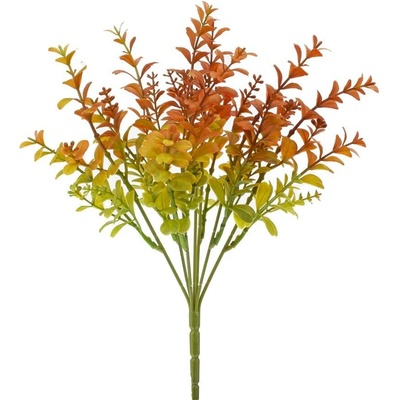 ZELEŇ DROB. LÍSTKY, ZELENO-ORANŽOVÁ 32CM