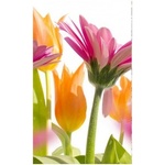 DIMEX ART Флизелинов фототапет пролет цветя 150 x 250 см