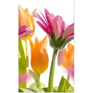 DIMEX ART Флизелинов фототапет пролет цветя 150 x 250 см