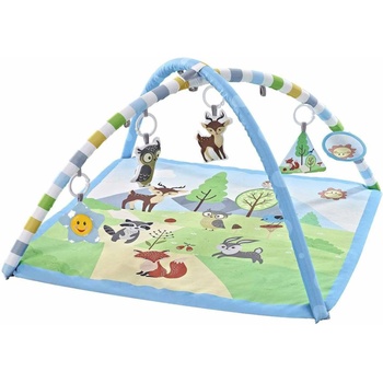 Chipolino Активна гимнастика Chipolino - Горичка (PGR02302FOR)