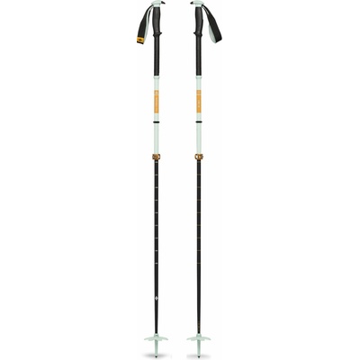 Black Diamond Traverse Pro Ski Poles