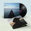 DC Gore - All These Things LP