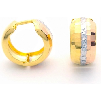 Šperk Holíč zlaté kombinované náušnice ZN190