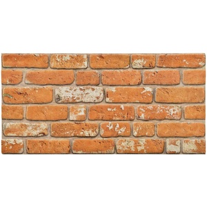 vidaXL Стенни панели 10 бр. 100 x 50 cm Тухла EPS пяна (153605)