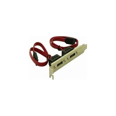 Delock Скоба за слот 2x вътрешен SATA 2x външен eSATA (65116)