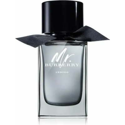 Burberry Mr. Burberry Indigo EDT 100 ml Tester