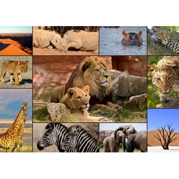 Grafika - Puzzle Collage Wildlife - 1 500 piese